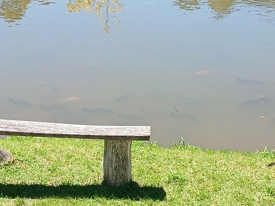 Linda Chácara em Lagoinha – Um Refúgio de Paz e Natureza