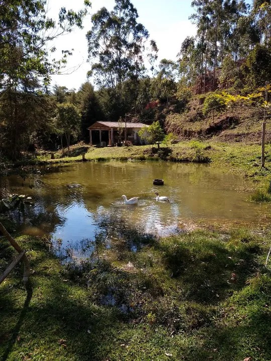 Sítio Encantador em São Luiz do Paraitinga – Refúgio com Natureza e Conforto