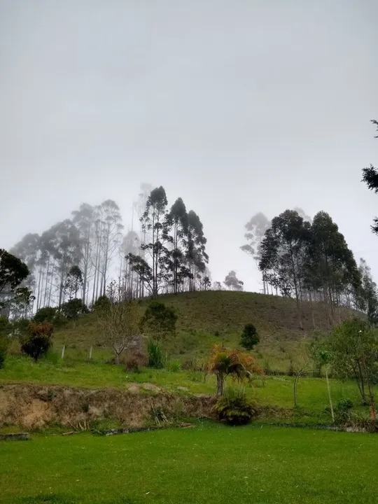 Sítio Encantador em São Luiz do Paraitinga – Refúgio com Natureza e Conforto