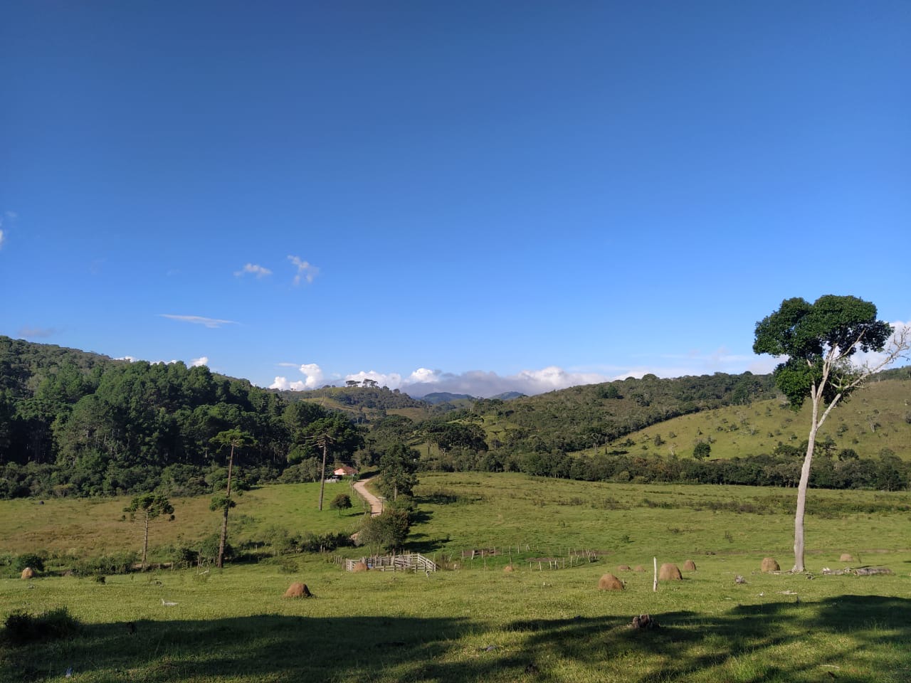 Sítio Exclusivo em Cunha - Natureza, Tranquilidade e Beleza na Serra