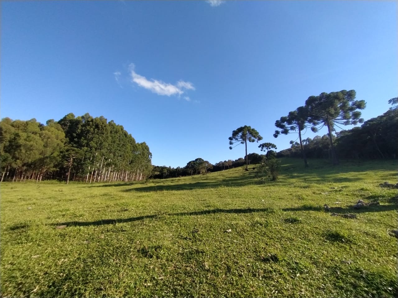 Sítio Exclusivo em Cunha - Natureza, Tranquilidade e Beleza na Serra