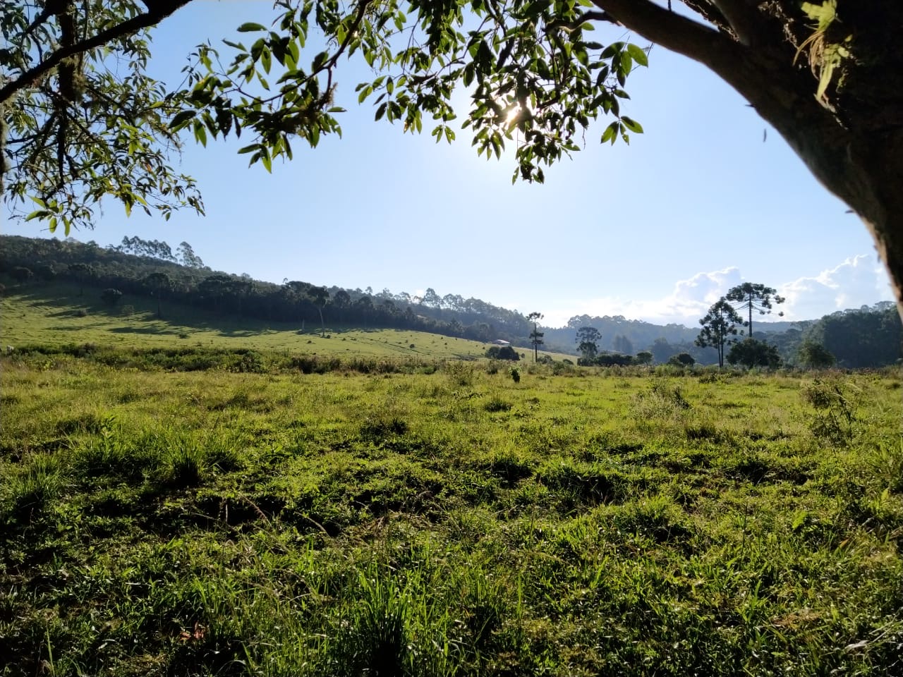 Sítio Exclusivo em Cunha - Natureza, Tranquilidade e Beleza na Serra