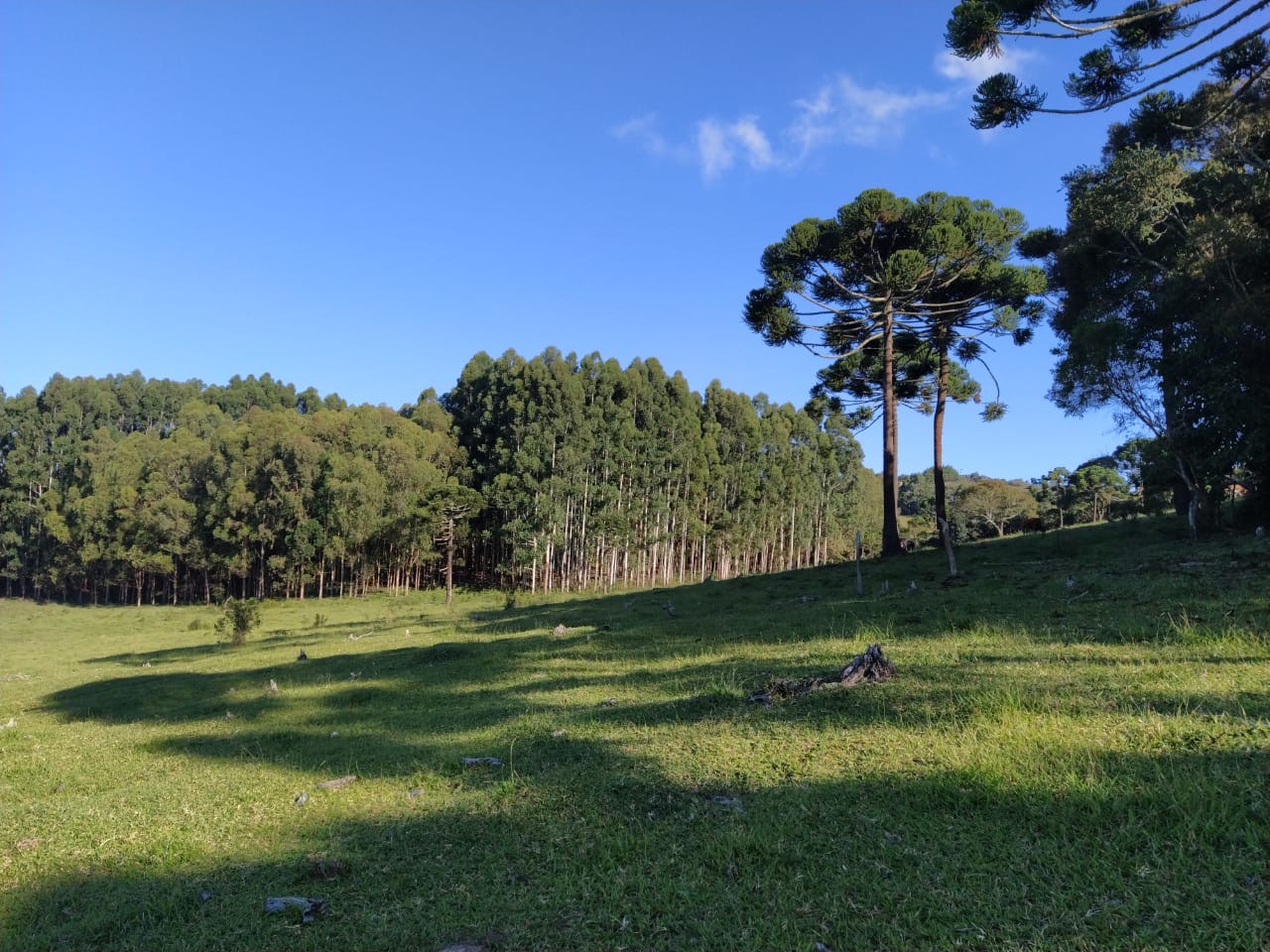 Sítio Exclusivo em Cunha - Natureza, Tranquilidade e Beleza na Serra