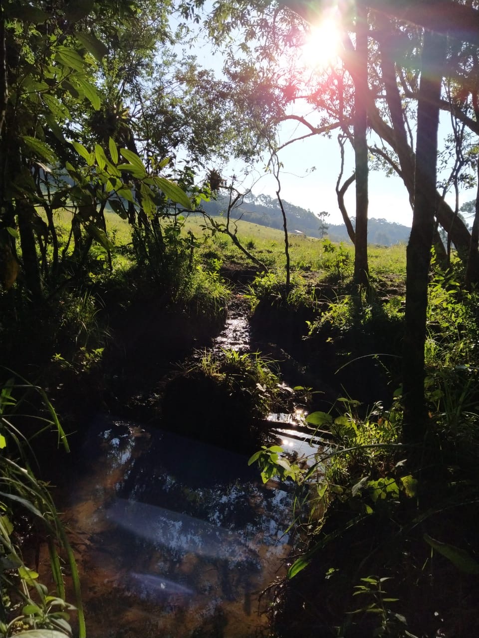 Sítio Exclusivo em Cunha - Natureza, Tranquilidade e Beleza na Serra