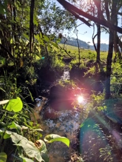 Sítio Exclusivo em Cunha - Natureza, Tranquilidade e Beleza na Serra