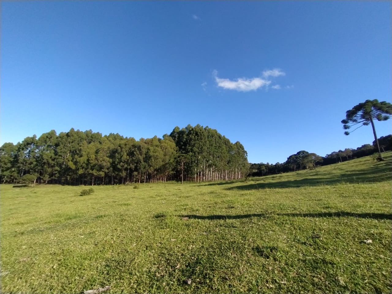 Sítio Exclusivo em Cunha - Natureza, Tranquilidade e Beleza na Serra