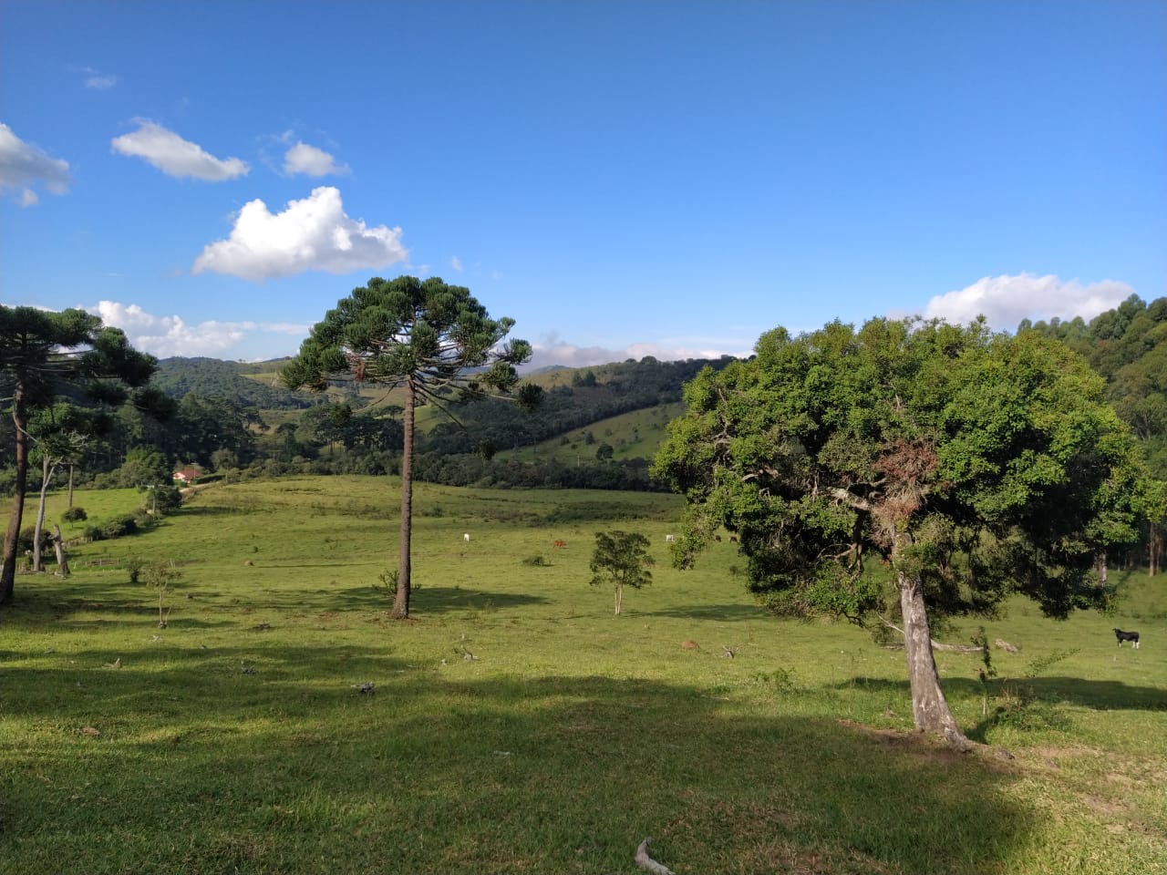 Sítio Exclusivo em Cunha - Natureza, Tranquilidade e Beleza na Serra