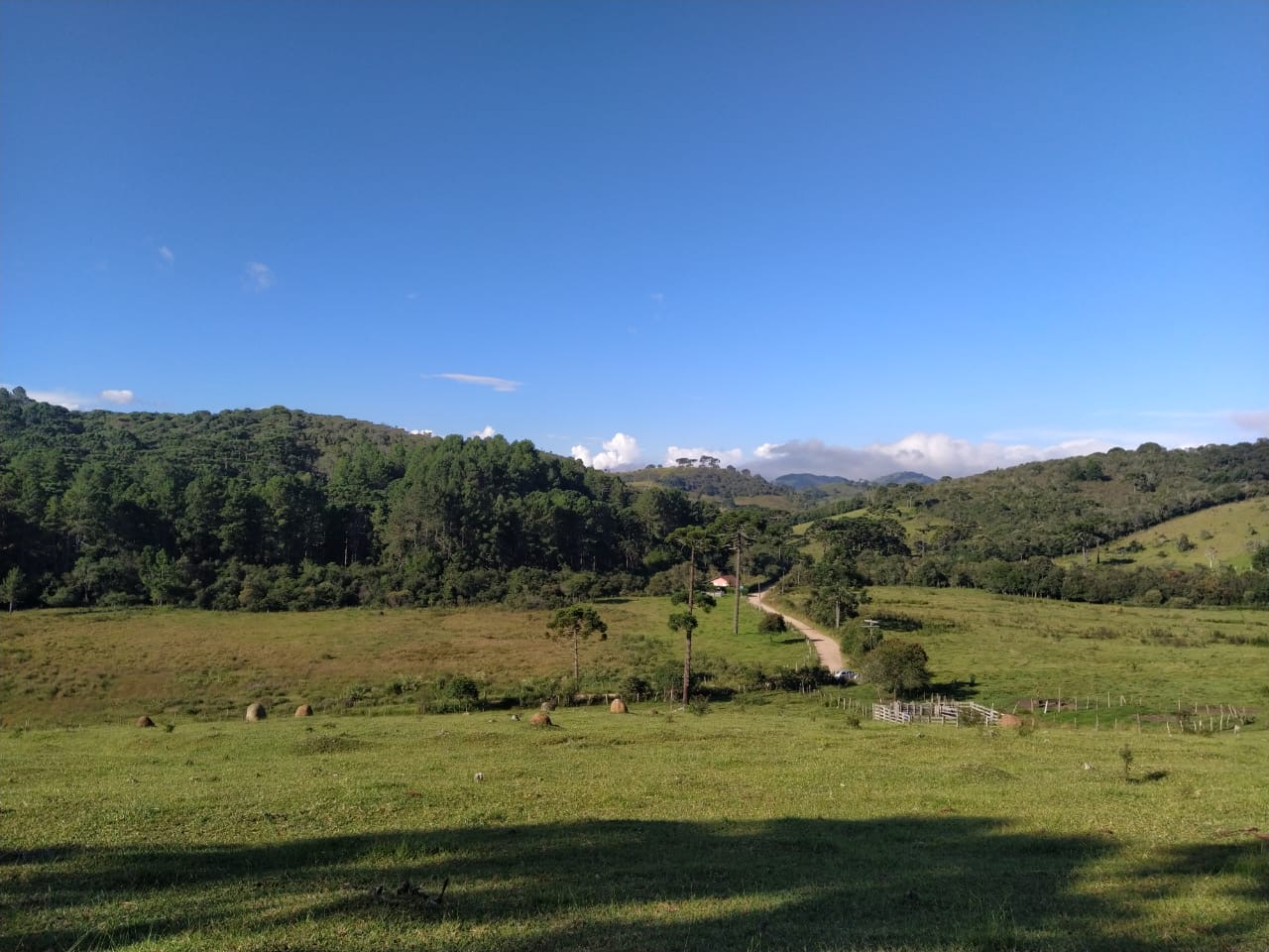 Sítio Exclusivo em Cunha - Natureza, Tranquilidade e Beleza na Serra