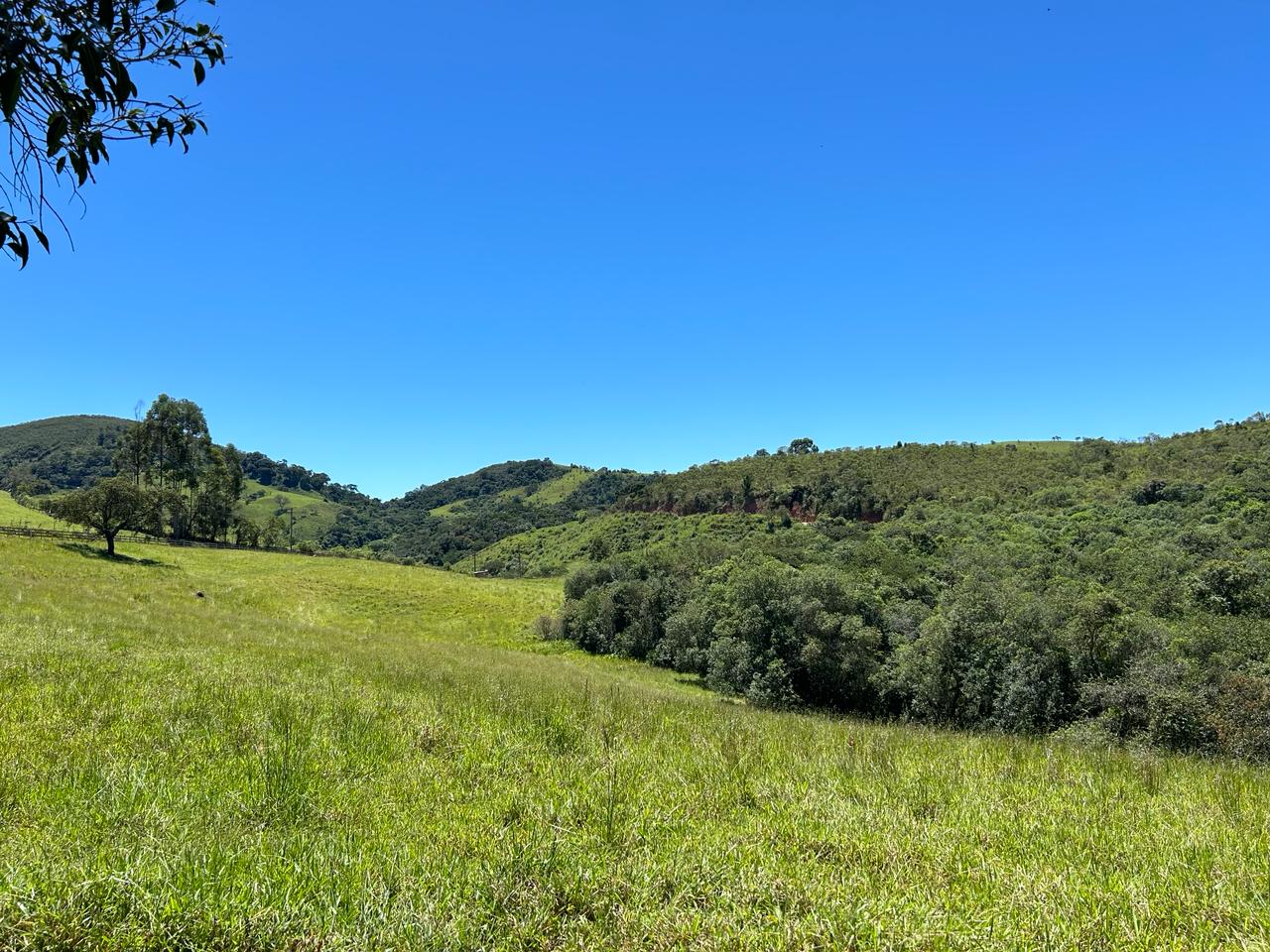 Sítio Encantador na Estância Climática de Cunha – Conforto e Natureza em Harmonia