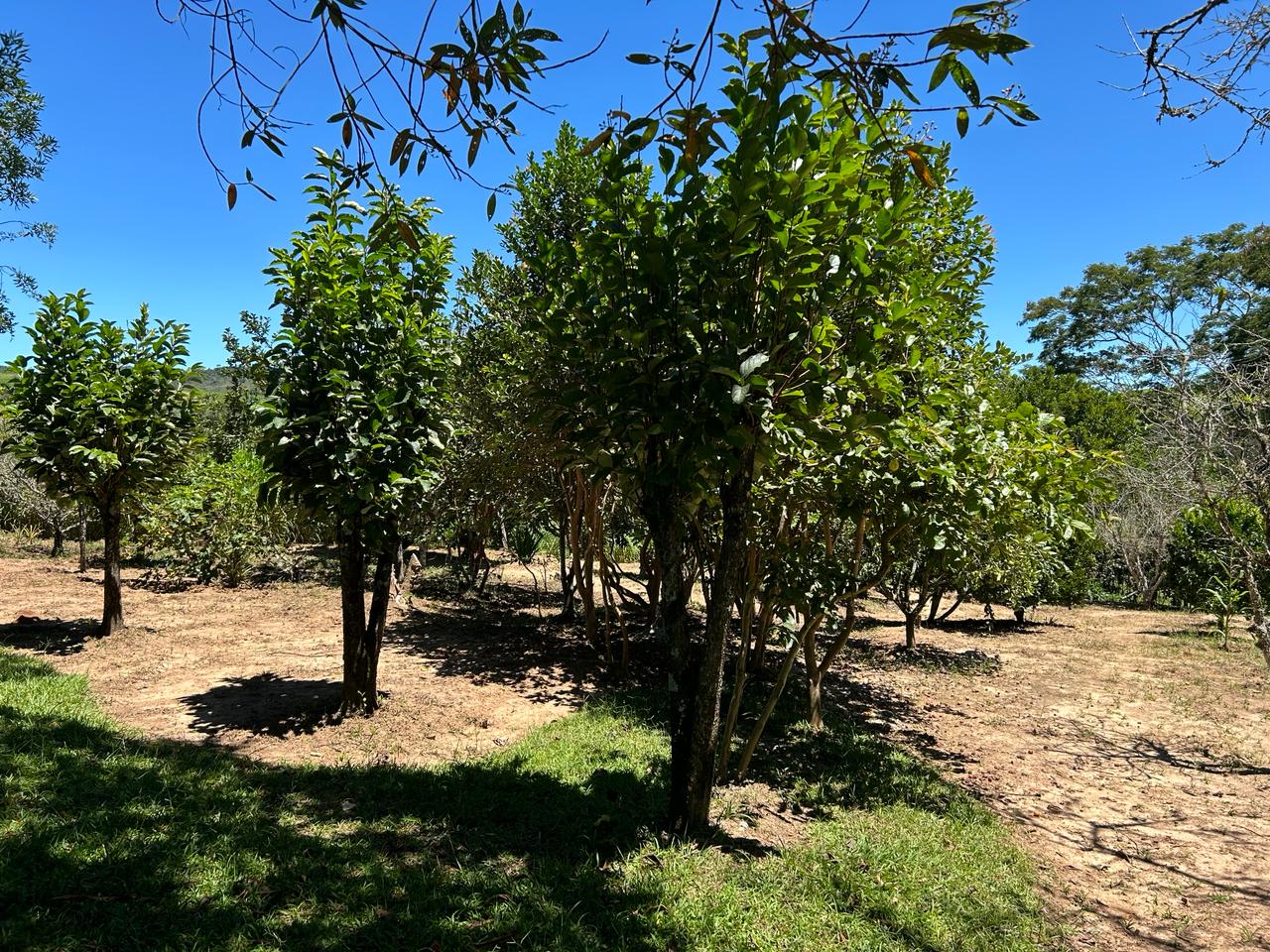 Sítio Encantador na Estância Climática de Cunha – Conforto e Natureza em Harmonia