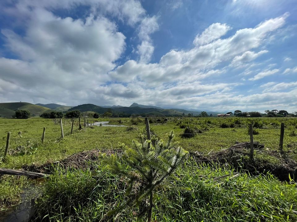 Sítio em Pindamonhangaba – Espaço e Natureza para seu Refúgio