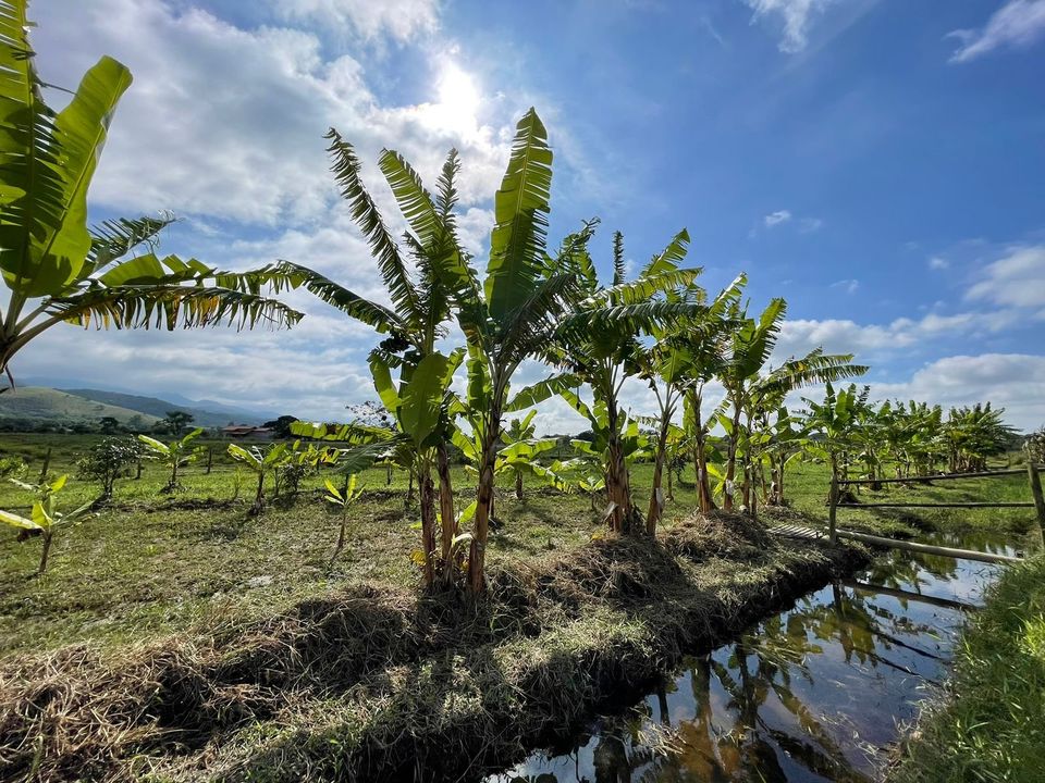 Sítio em Pindamonhangaba – Espaço e Natureza para seu Refúgio