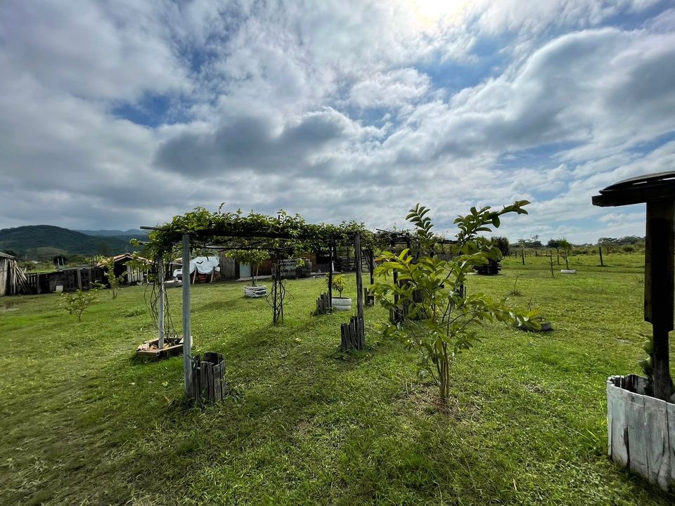 Sítio em Pindamonhangaba – Espaço e Natureza para seu Refúgio