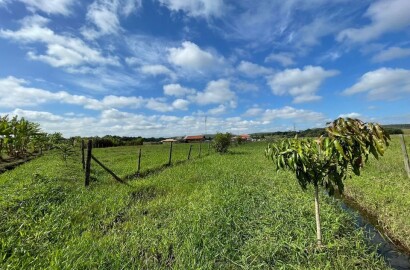 Sítio em Pindamonhangaba – Espaço e Natureza para seu Refúgio