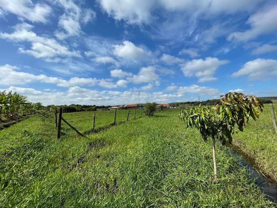 Sítio em Pindamonhangaba – Espaço e Natureza para seu Refúgio