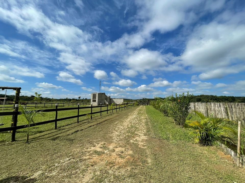 Sítio em Pindamonhangaba – Espaço e Natureza para seu Refúgio