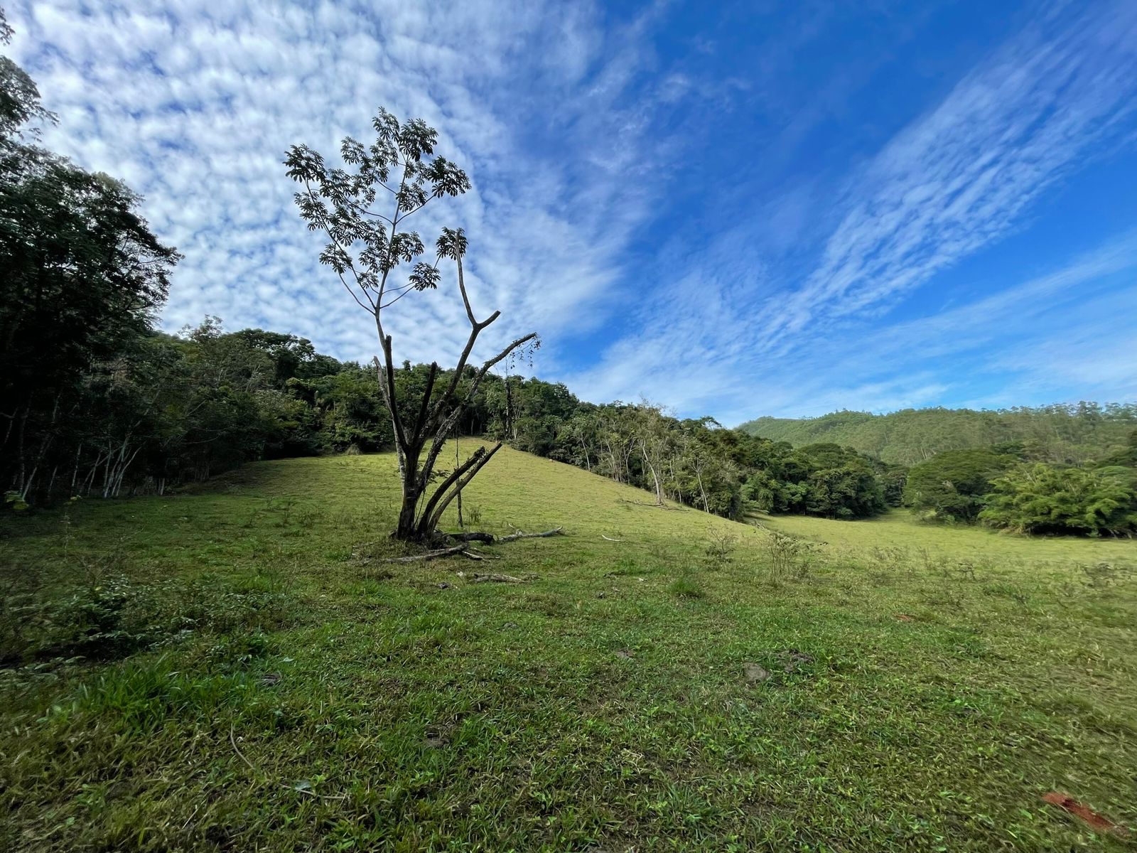 Sítio Encantador com Acesso Direto ao Asfalto – Perfeito para Lazer e Ecoturismo