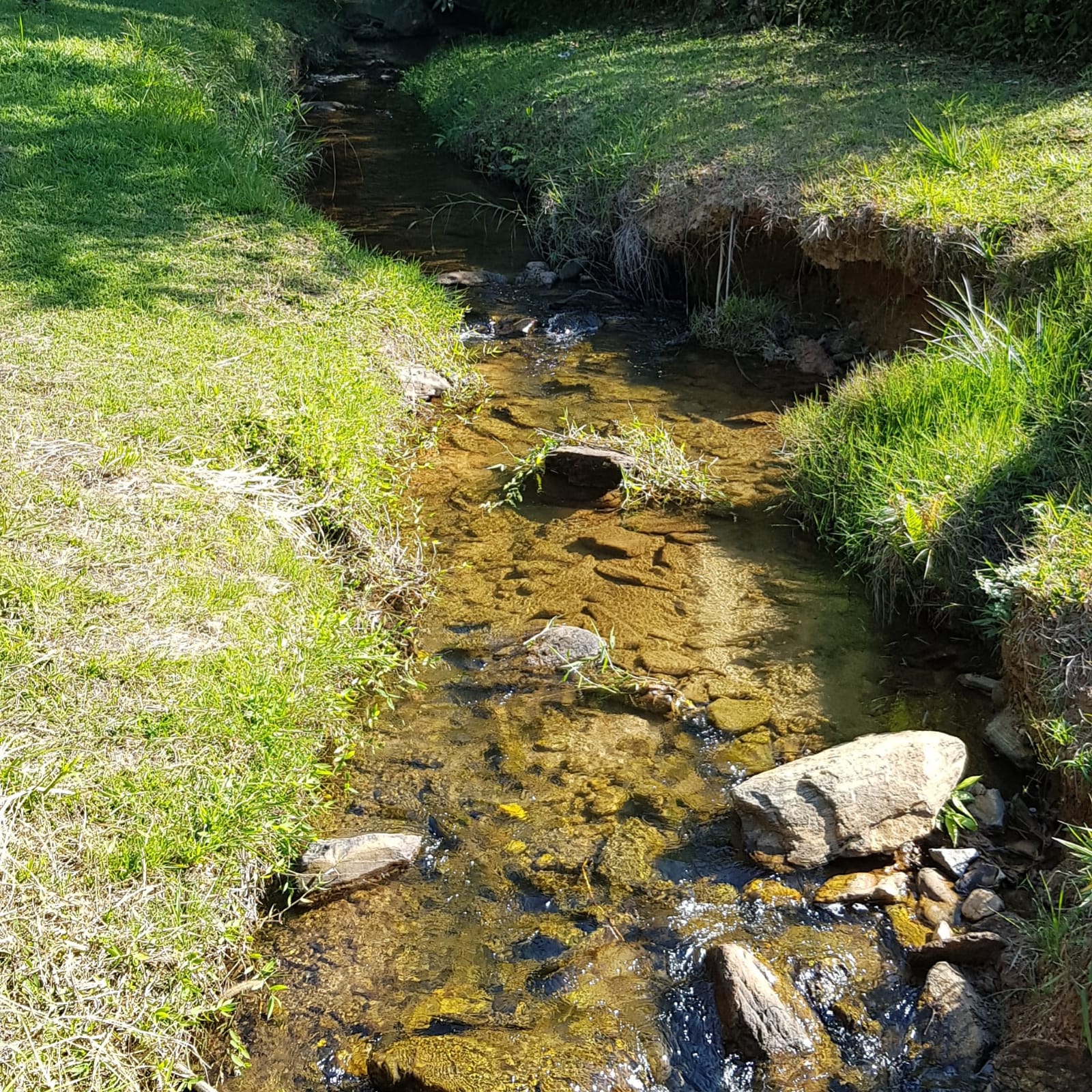 Charmoso Sítio em Pindamonhangaba – Tranquilidade e Natureza no Bairro do Pinga