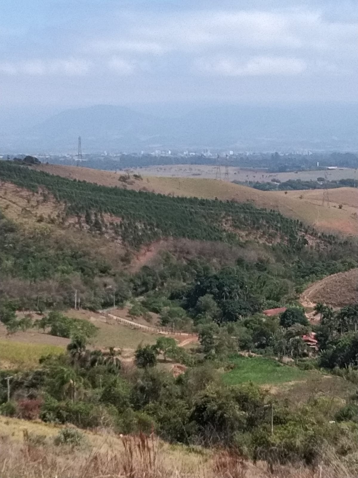 Sítio à Venda no Borba - Pindamonhangaba