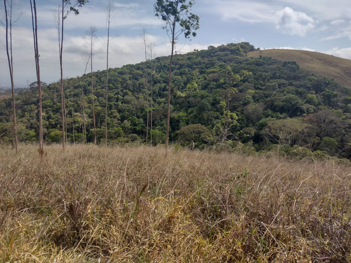 Sítio à Venda no Borba - Pindamonhangaba