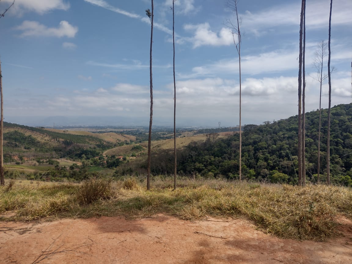 Sítio à Venda no Borba - Pindamonhangaba