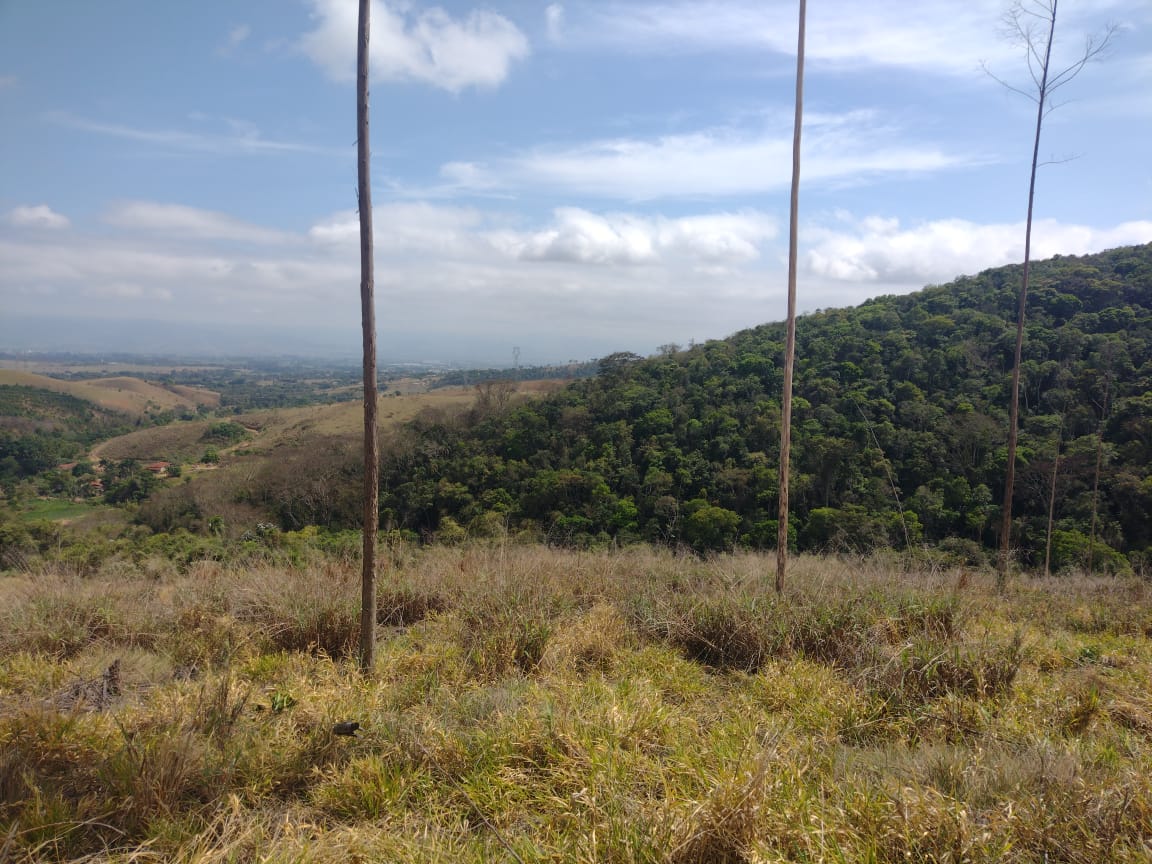 Sítio à Venda no Borba - Pindamonhangaba