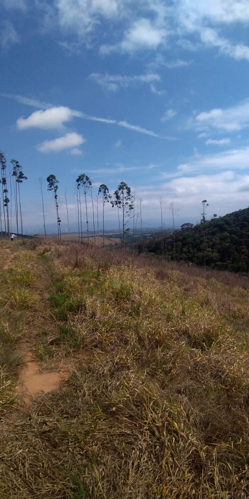 Sítio à Venda no Borba - Pindamonhangaba