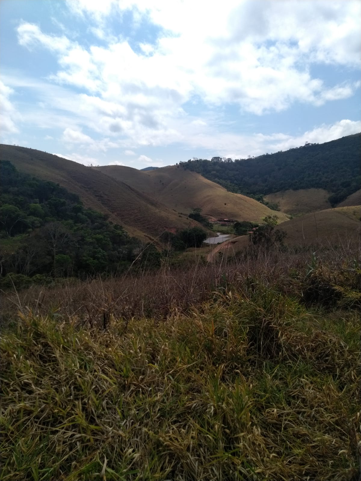 Sítio à Venda no Borba - Pindamonhangaba