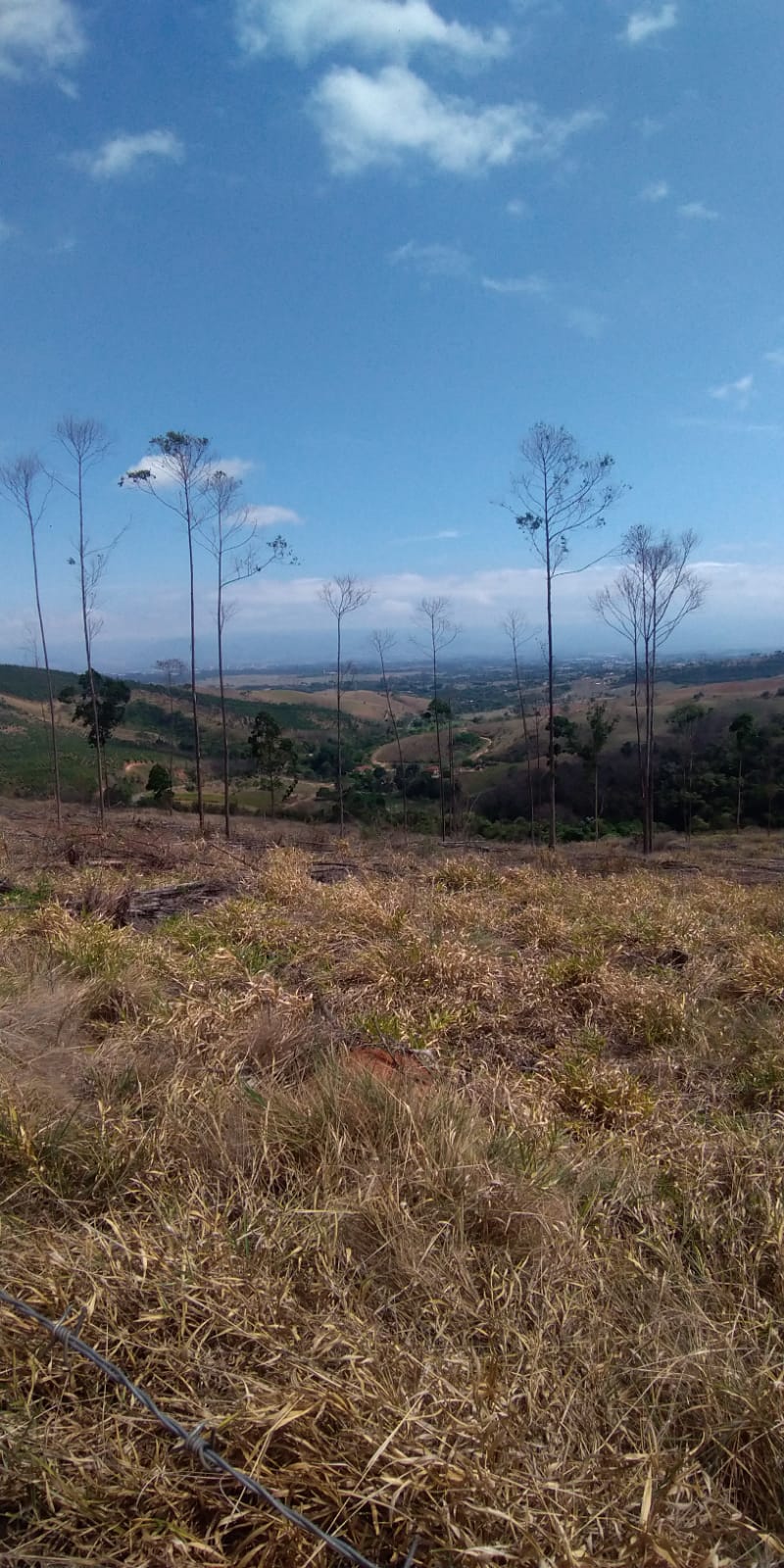 Sítio à Venda no Borba - Pindamonhangaba