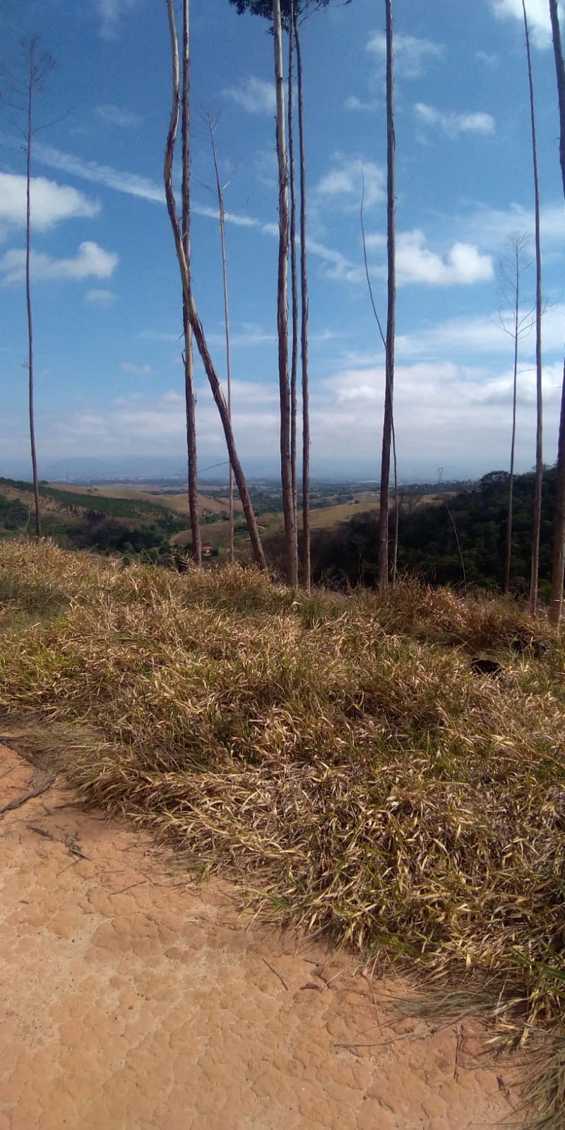 Sítio à Venda no Borba - Pindamonhangaba