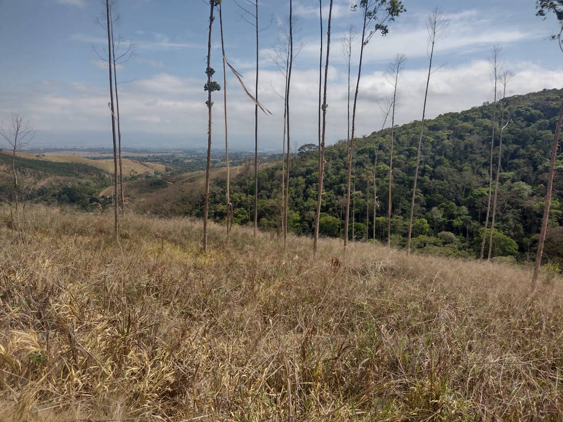 Sítio à Venda no Borba - Pindamonhangaba